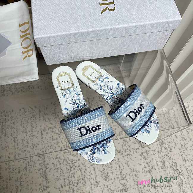 Dior Dway Slide White and Blue - 1