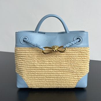 Bottega Veneta Small Andiamo Raffia Blue 25x20x10cm