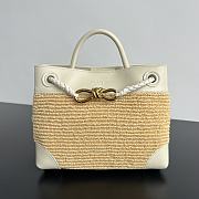 Bottega Veneta Small Andiamo Raffia White 25x20x10cm - 1