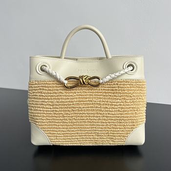 Bottega Veneta Small Andiamo Raffia White 25x20x10cm