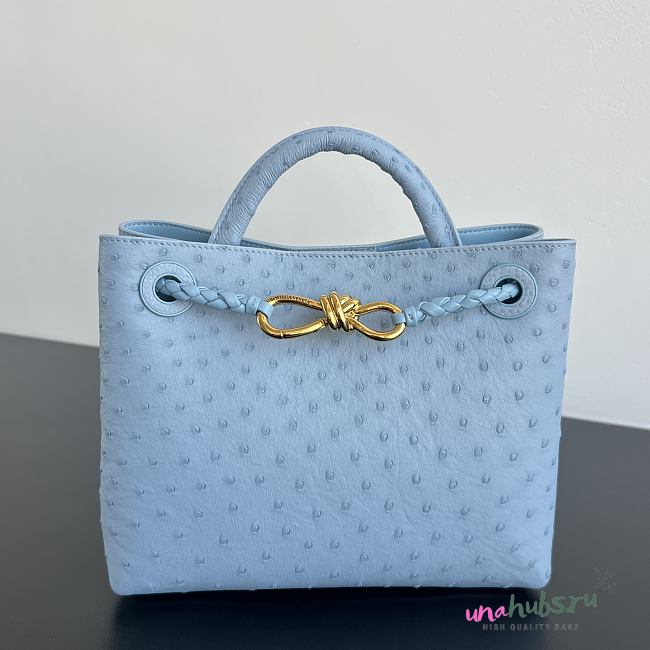 Bottega Veneta Andiamo Blue Ostrich Gold 25x20x10cm - 1