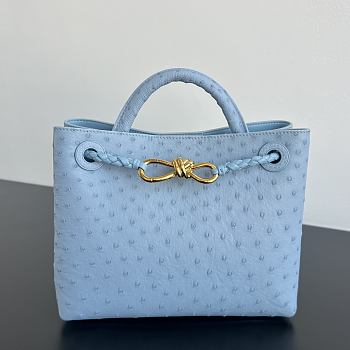 Bottega Veneta Andiamo Blue Ostrich Gold 25x20x10cm