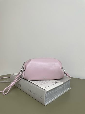 Dior Bow Pouch pink 20x11x8cm