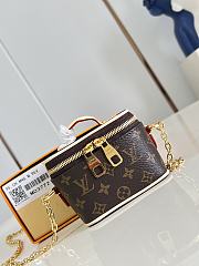 Louis Vuitton Micro Vanity Case  - 1