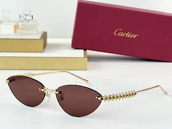 Cartier Sunglasses 05