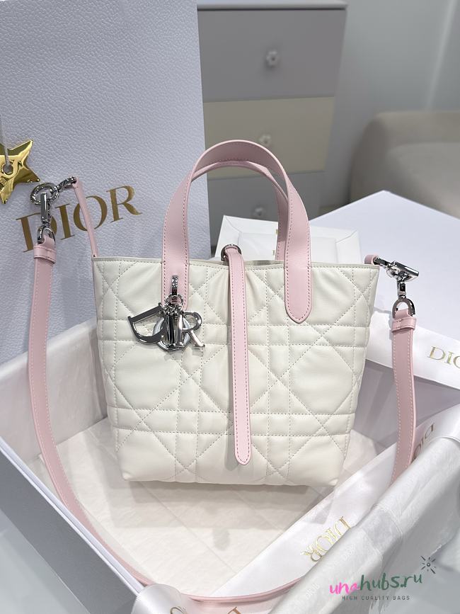 Dior Small Toujours Vertical Tote Bag Latte Pink 18.5x18.5x12cm - 1