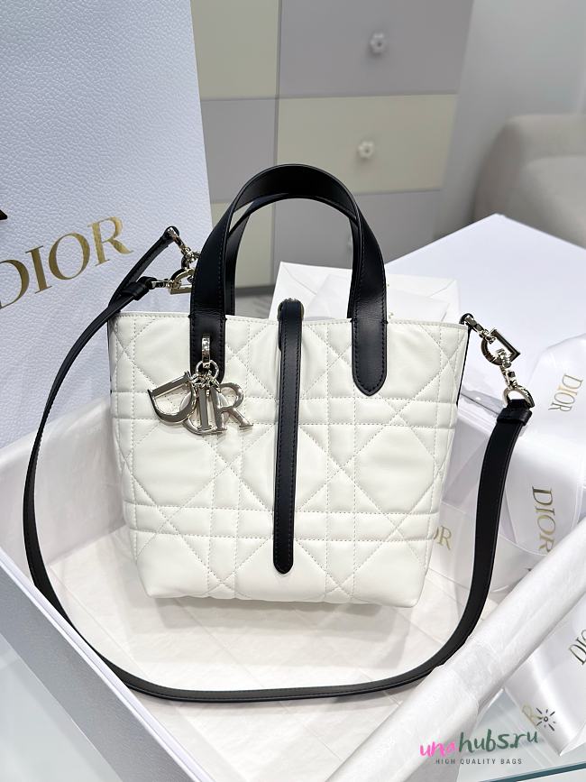 Dior Small Toujours Vertical Tote Bag Latte black 18.5x18.5x12cm - 1