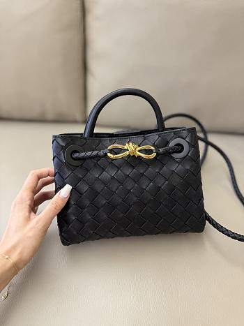 Bottega Veneta Mini Andiamo Black 20x9x15cm
