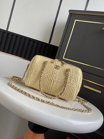 Chanel Classic Clutch with Chain Raffia Beige 18.5x11.5x11cm