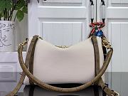 Louis Vuitton Express PM Vanilla/Monogram 26x17x13.5cm - 3