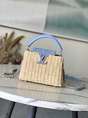 Louis Vuitton Mini Capucines Raffia Denim 21x13.6x8cm - 1