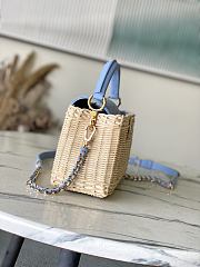Louis Vuitton Mini Capucines Raffia Denim 21x13.6x8cm - 2