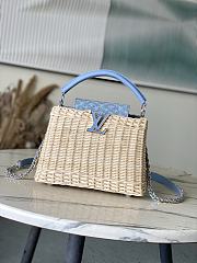Louis Vuitton Capucines BB Raffia Blue denim 27x17.3x9cm - 1