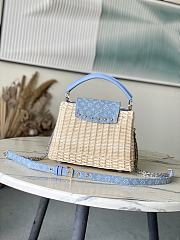 Louis Vuitton Capucines BB Raffia Blue denim 27x17.3x9cm - 4