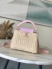 Louis Vuitton Capucines BB Raffia Pink denim 27x17.3x9cm - 1