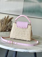 Louis Vuitton Capucines BB Raffia Pink denim 27x17.3x9cm - 4