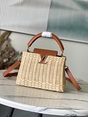 Louis Vuitton Capucines BB Raffia Brown 27x17.3x9cm - 1