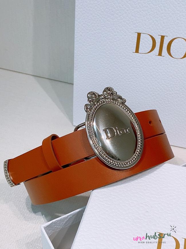 Dior Médaillon Belt Brown Silver Smooth 2.5cm - 1