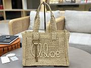 Chloé Metallic Banana East-West Raffia Tote Bag 37x26x13.5cm - 1