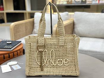 Chloé Metallic Banana East-West Raffia Tote Bag 37x26x13.5cm