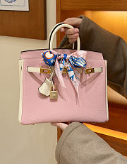 Hermes Birkin 25 Pink White Togo - 3