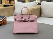 Hermes Birkin 25 Pink Togo Silver  - 1