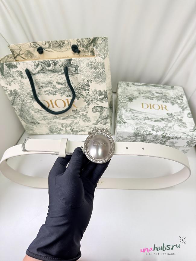 Dior Médaillon Belt White Silver Smooth 2.5cm - 1