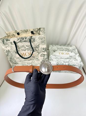 Dior Médaillon Belt Brown Silver Smooth 2.5cm