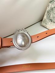 Dior Médaillon Belt Brown Silver Smooth 2.5cm - 4