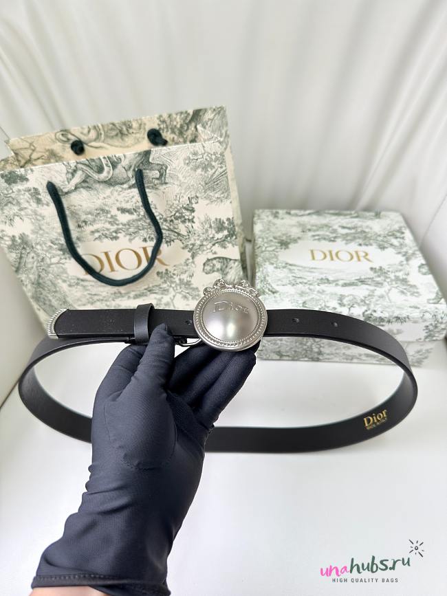 Dior Médaillon Belt Black Silver Smooth 2.5cm - 1