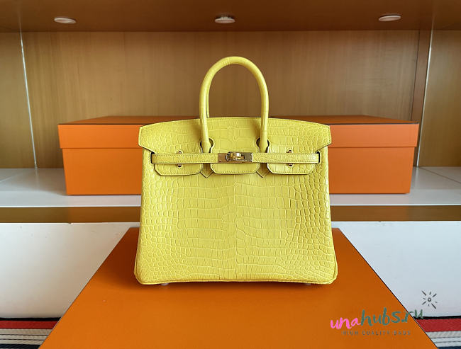 Hermes Birkin 25 Yellow Gold Crocodile 25cm - 1