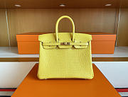 Hermes Birkin 25 Yellow Gold Crocodile 25cm - 1