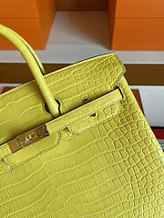 Hermes Birkin 25 Yellow Gold Crocodile 25cm - 3