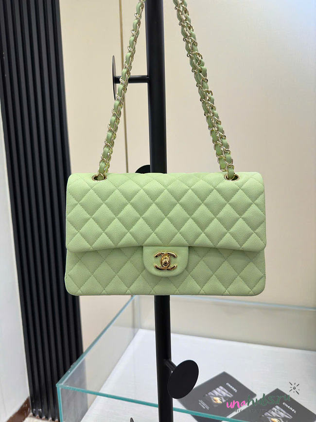 Chanel Flap Bag Light Green Caviar Gold 25cm - 1