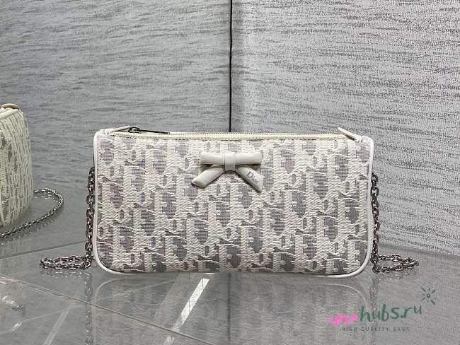 Dior Promenade Chain Pouch 22x11.5x4.5cm - 1