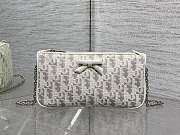 Dior Promenade Chain Pouch 22x11.5x4.5cm - 1