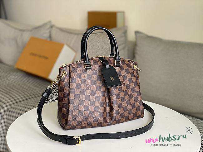 Louis Vuitton Odéon Tote PM - 25.0 x 23.0 x 14.0cm - 1
