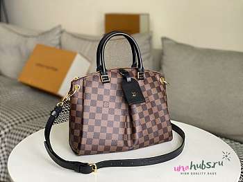 Louis Vuitton Odéon Tote PM - 25.0 x 23.0 x 14.0cm