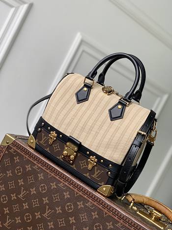 Louis Vuitton Speedy Bandoulière 22 Monogram 24x22x12cm