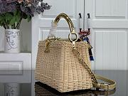 Louis Vuitton Capucines BB Raffia gold 27x17.3x9cm - 5