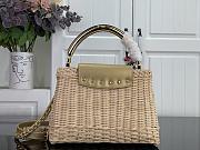 Louis Vuitton Capucines BB Raffia gold 27x17.3x9cm - 2