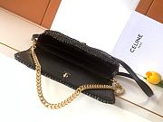 Celine Multipochette Raffia Black 23x11x4cm - 2