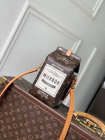 Louis Vuitton Milk Bag 12x22x10cm
