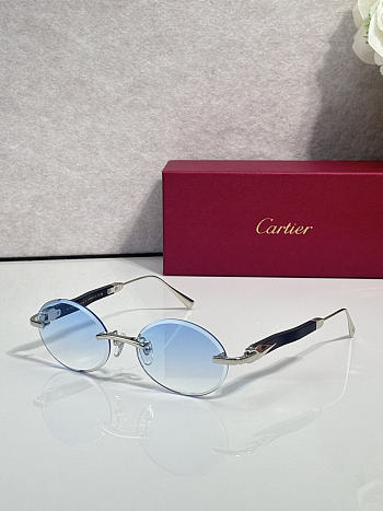 Cartier Sunglasses 06