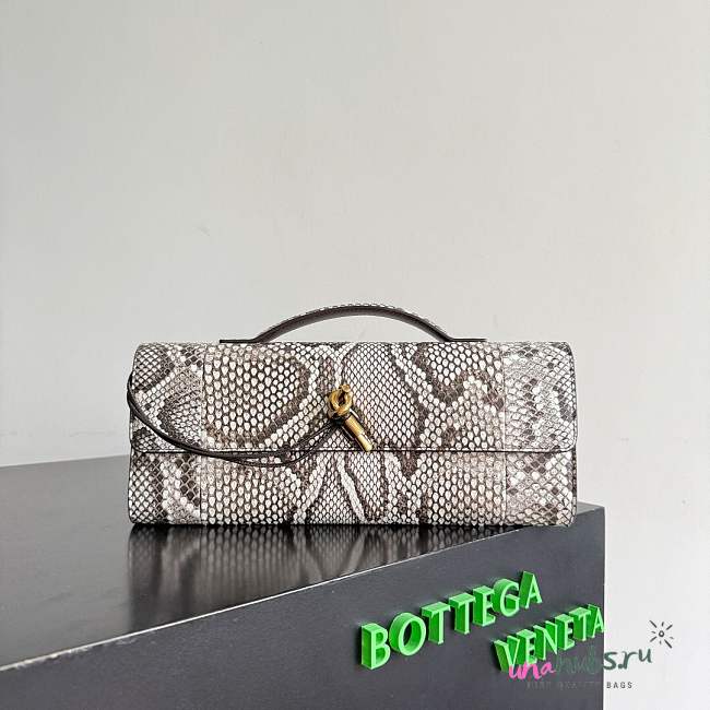Bottega Veneta Andiamo clutch python 31x13x3cm - 1