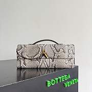 Bottega Veneta Andiamo clutch python 31x13x3cm - 1
