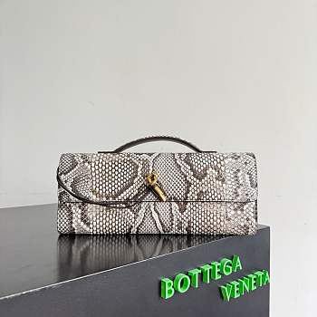 Bottega Veneta Andiamo clutch python 31x13x3cm