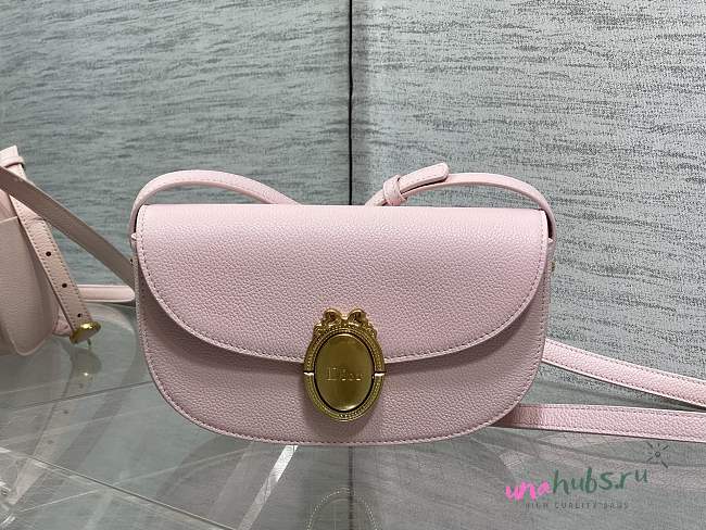 Dior Medium Médaillon Flap Bag Pink Calfskin 23x16x6.5cm - 1