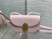 Dior Medium Médaillon Flap Bag Pink Calfskin 23x16x6.5cm - 1