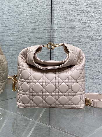 Dior Toujours Hobo Silhouette pink 27x24x9cm